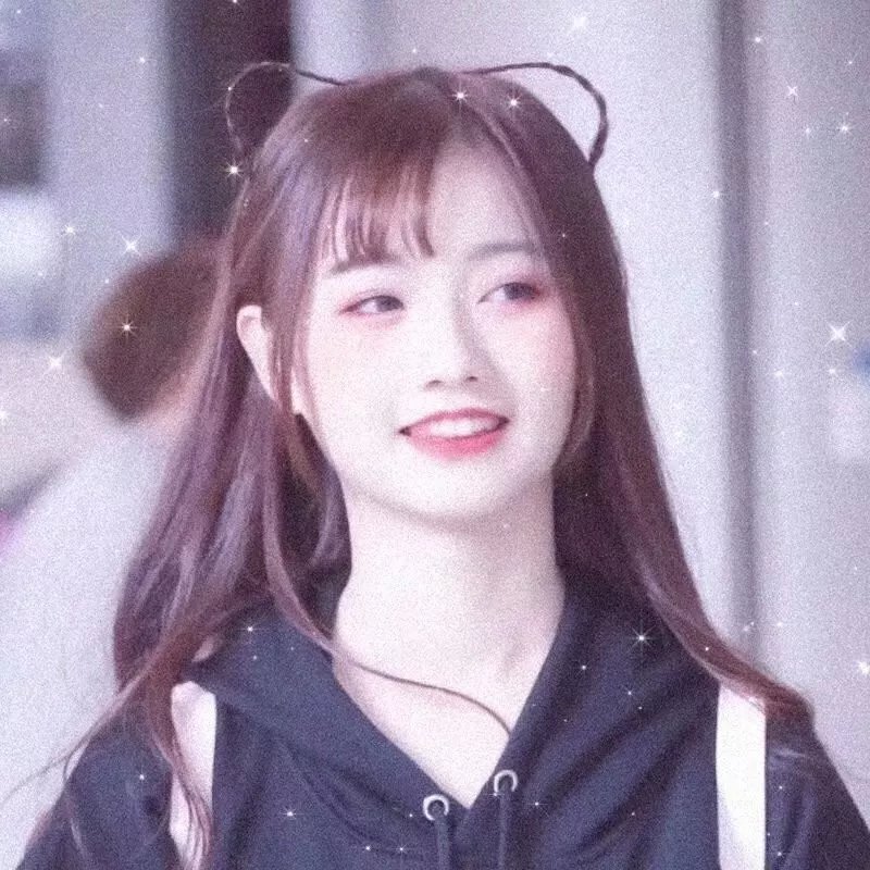 十三个女人